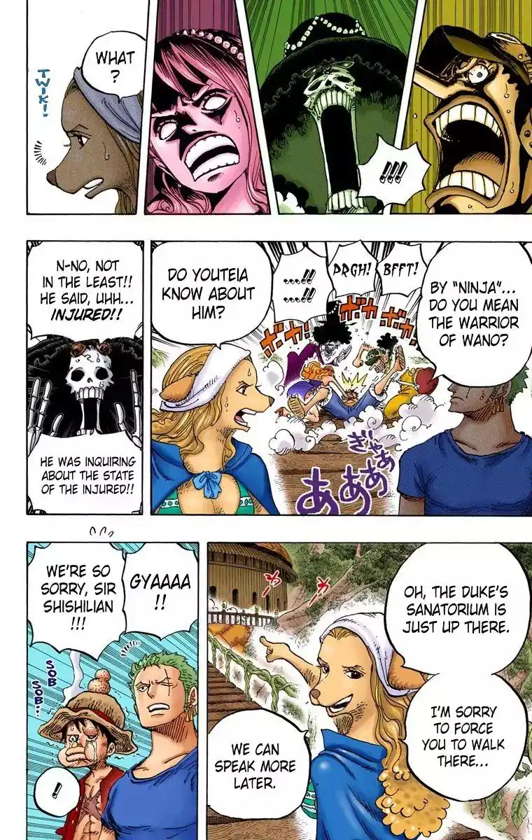 One Piece - Digital Colored Comics Chapter 808 11